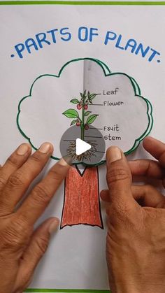 two hands holding up a piece of paper with the words parts of plant on it