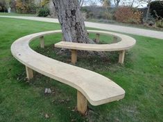 two wooden benches sitting next to a tree in the grass near a path and walkway