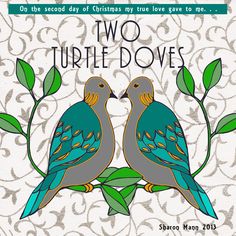 two turtle doves sitting on top of a tree branch in front of a white background