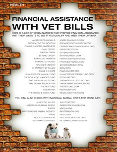 an advertisement for the financial assistance with vet bills