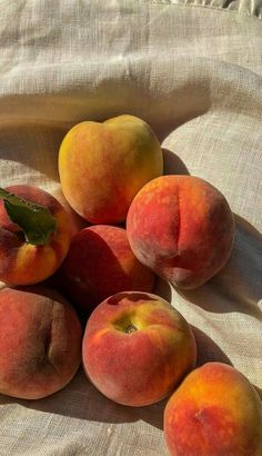 five peaches sitting on top of a white cloth