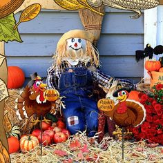 a scarecrow sitting in hay next to pumpkins and other fall decorations on the ground