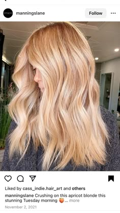 Strawberry Blonde Inspiration, Light Red Highlights In Blonde Hair, Strawberry Blonde Pale Skin, Apricot Blonde Hair, Mommy Hair, Strawberry Blondie, Light Strawberry Blonde, Copper Blonde Hair