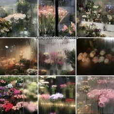 many different pictures of flowers in vases on the windowsill and rain falling down