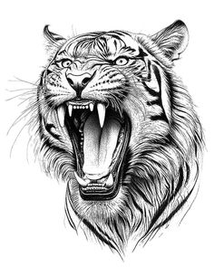 an ink drawing of a tiger's face with its mouth open and it's teeth