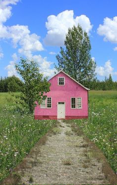 a pink house in the middle of a field