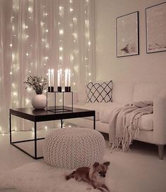 a white living room with lights on the wall and a dog laying in the floor