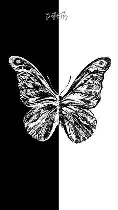 a black and white photo of a butterfly on the left side of a striped background