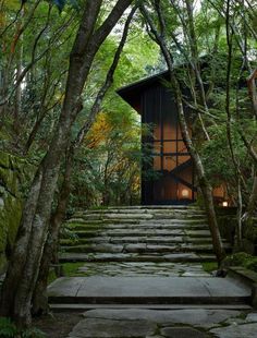 an outdoor area with steps and trees in the foreground, surrounded by green foliage