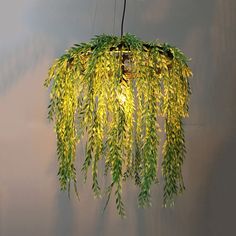 a green plant hanging from a ceiling with lights in the middle and leaves on it