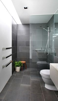 a bathroom with a toilet, shower and plant in it