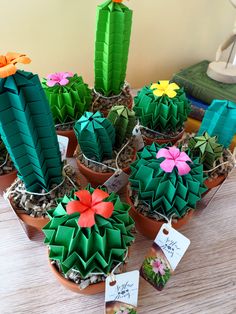 there are many different types of cactus in the potted plants with tags on them