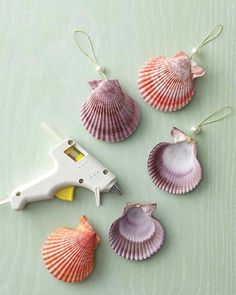 Shells Diy, Navidad Diy