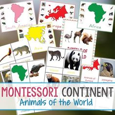 the montessor continent animals of the world are shown with their names and pictures