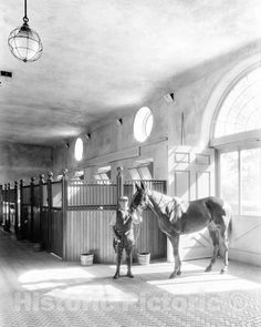 black and white photograph of a man standing next to a horse in an enclosed area