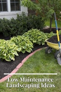 a wheelbarrow filled with black mulch next to a garden bed and trees