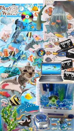 a fish tank filled with lots of different types of animals and things around it that are all over the place