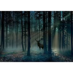 a deer standing in the middle of a forest with sunbeams shining through it