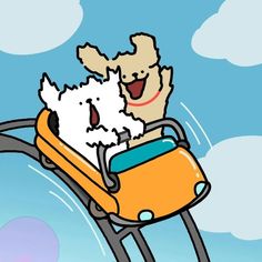 a dog is riding in the back of a car