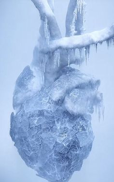 an ice covered tree branch with icicles hanging from it's branches in the snow