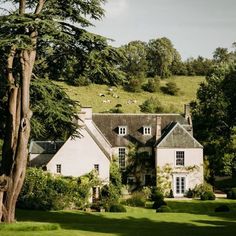 a large white house sitting on top of a lush green hillside next to trees and bushes