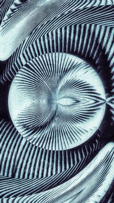 an abstract black and white photograph with lines in the center, resembling two spirals