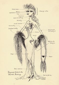 a drawing of a woman's body with her parts labeled in black and white