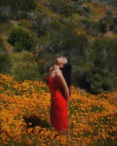 super bloom poppy fields california 
Red dress Malibu Photoshoot Ideas, Picture In Flower Field, Wild Flower Photoshoot Poses, Baddie Outdoor Photoshoot, Poses For Outdoor Photoshoot Women, Red Dress Photoshoot Ideas Outdoor, Floral Dress Photoshoot Ideas, Photos In Flower Fields, Photoshoot In Flower Fields