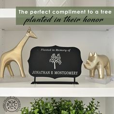 the perfect compliment to a tree planted in their home