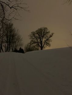 a snowboarder is going down a snowy hill in the distance, with trees on either side