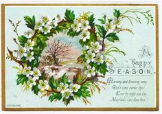 an old fashioned christmas card with white flowers and green leaves on the front, says happy season