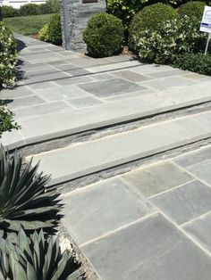 the steps are made of stone and have plants growing on each side, along with succulents