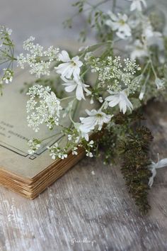 some white flowers are on top of an old book