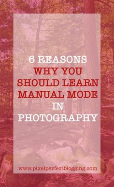 trees and rocks with the text 6 reasons why you should learn manual mode in photography