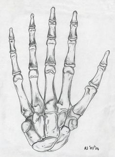 a drawing of a skeleton hand with three fingers