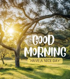 the words good morning have a nice day are in front of a field with trees