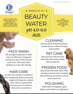 the benefits of beauty water for dogs and their owners info on how to use it