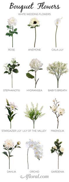 the different types of flowers are shown in this graphic style, and each flower has its own name on it