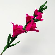 pink flowers are in a vase with green stems