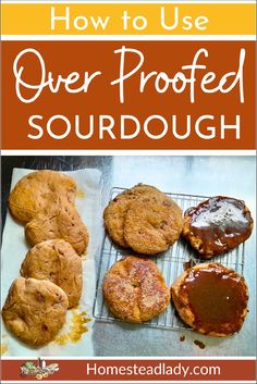 overproofed sourdough donuts with frosting or sugar on a bakers rack Over Proofed Sourdough, Overproofed Sourdough Recipes, Proofed Sourdough, Donut Toppings, Gelatin Dessert, Deep Frying Pan, Zero Waste Kitchen, Delicious Donuts, Sourdough Recipes