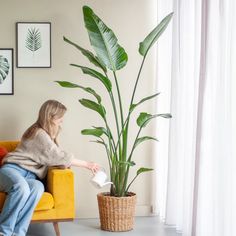 a woman sitting on a yellow couch next to a potted plant in front of a window