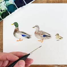 someone is painting ducks with watercolors on paper