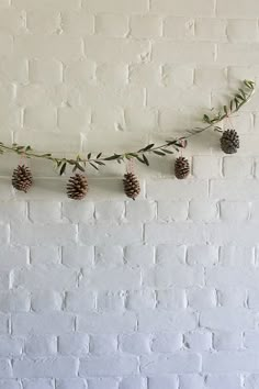 pine cones are hanging from a branch on a brick wall