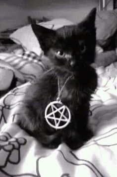 a black cat sitting on top of a bed with a pentagramus charm hanging from it's neck