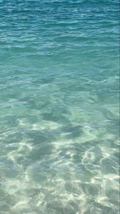 the water is very clear and blue with little ripples on it's surface