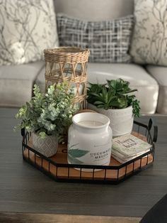 a tray with some plants on top of it next to a couch and pillows in the background