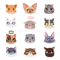 many different types of cats'heads with eyes and nose shapes - animals characters on white background