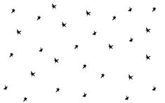 black and white stars are flying in the sky