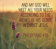 a field with flowers and the words, and my god will meet all your needs according to the richs of his glory in christ jesus