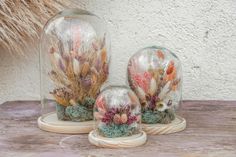 three glass domes with plants inside on a table